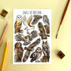 Alexia Claire | Owls of Britain | Postcard | Conscious Craft